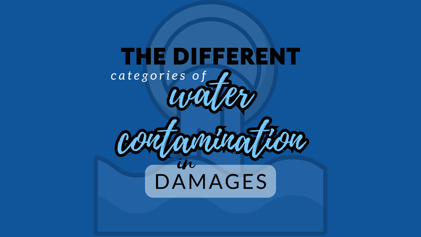 The Common Types of Water Damage and How to Identify Them!